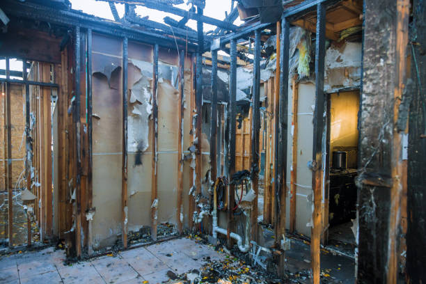 Professional Fire Damage Removal technician working in Parkville, MD