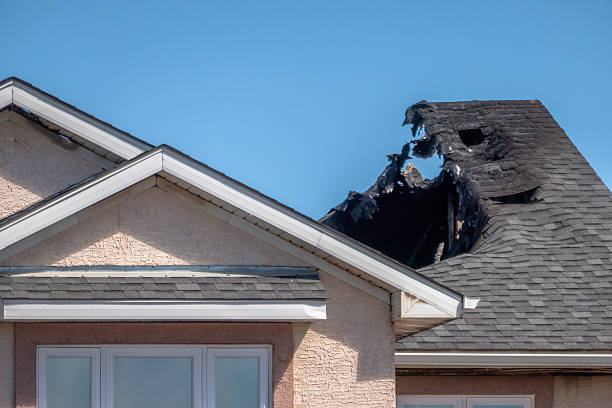 Top rated local Fire Damage Removal specialists in Parkville, MD